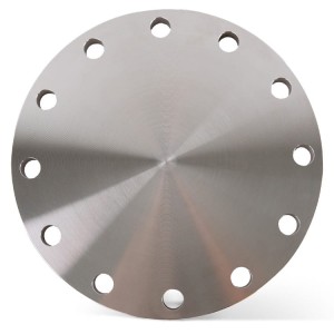 Stainless steel forged blind flange DN250 273 mm PN16 (EN1092-1/05A) 1.4541 / 321
